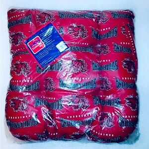 NWT South Carolina Rocker Back Cushion 16 x 16” | Dinning / Patio Chair Pillow